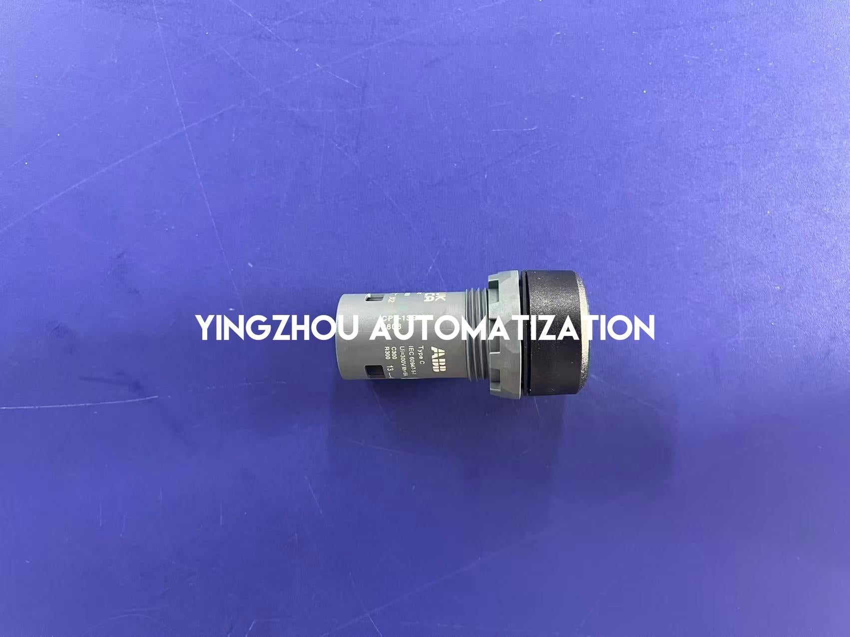 ABB CP1-13G-10 Compact Pushbutton - Illuminated, Green, 220V AC/DC, 1 NO, Momentary-vezhoo