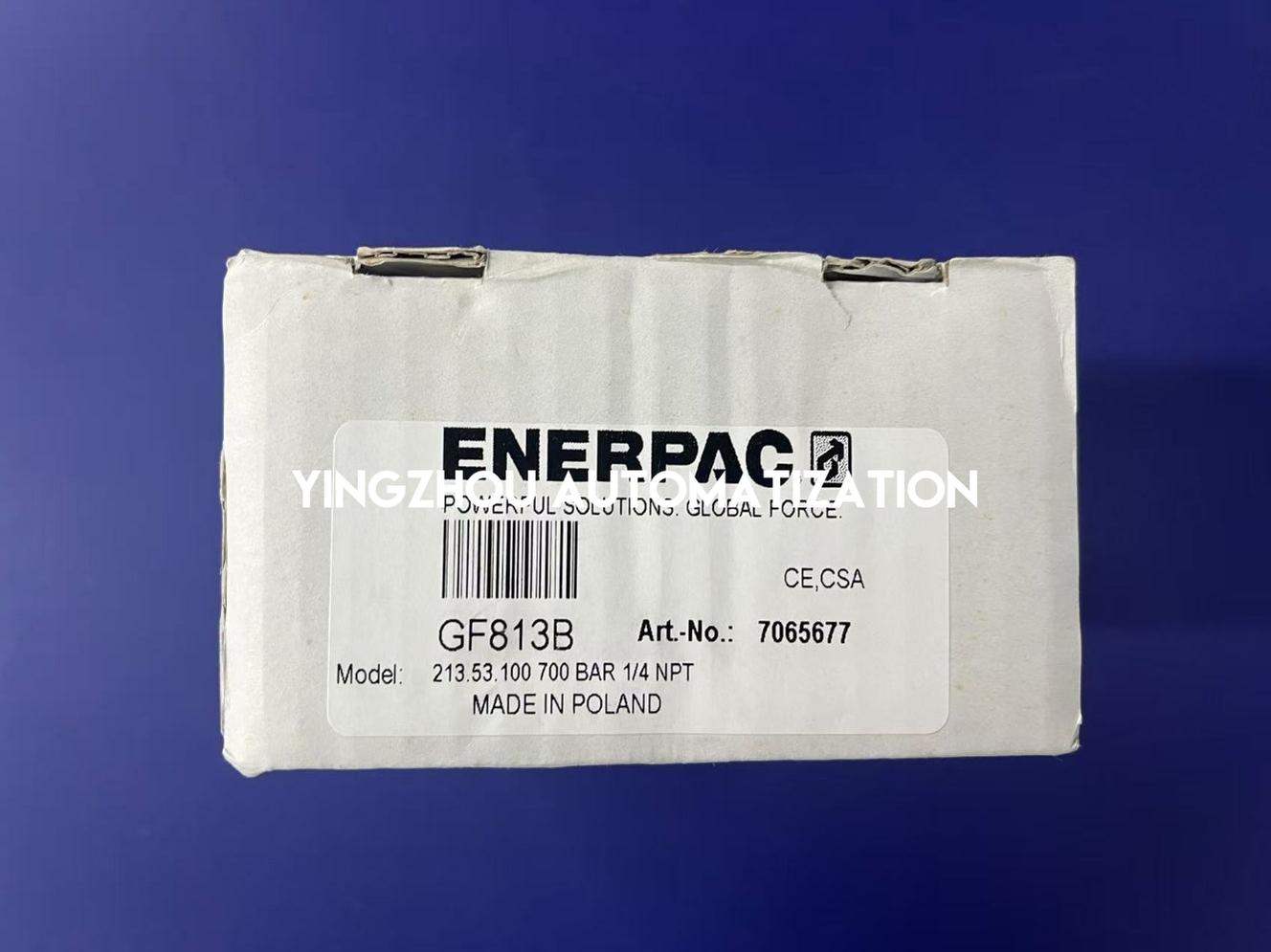 Enerpac GF813B Hydraulic Force & Pressure Gauge | 4" Face, Metric Scale, 10,000 psi-vezhoo