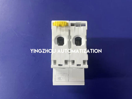 Schneider Electric A9F19202 Acti9 iC60N Circuit Breaker | 2-Pole, 10A, D-Curve, 6kA/10kA-vezhoo
