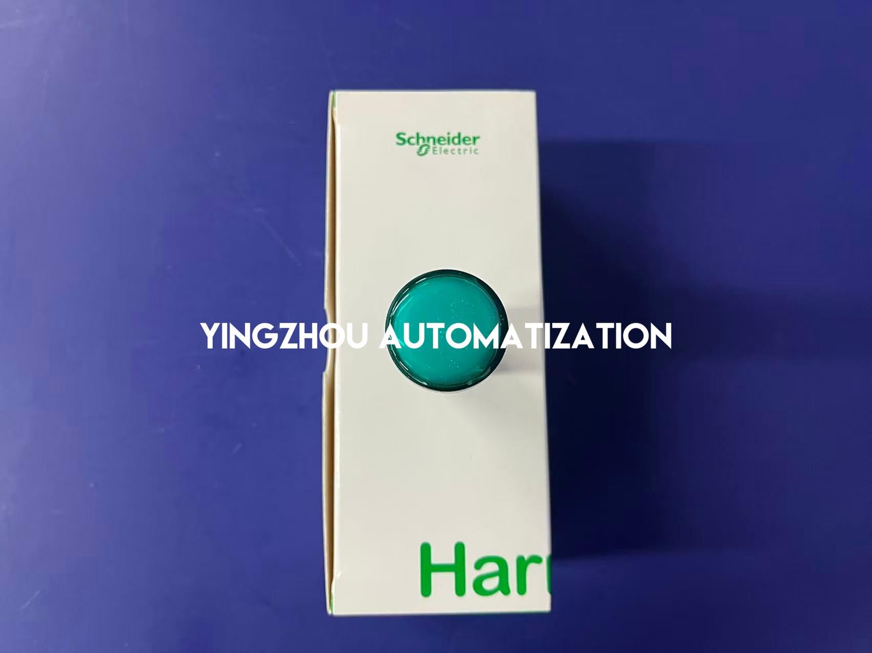 Schneider Electric XA2EVM3LC Easy Harmony Monolithic Pilot Light | 22mm, Green LED, 220V AC, IP65-vezhoo